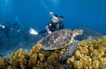 Discover Scuba Diving With Sea Turtles – Xiaoliuqiu, Taiwan