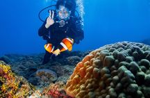Discover Scuba Diving With Sea Turtles – Xiaoliuqiu, Taiwan