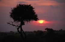 5 Day Masai Mara, Lake Nakuru and Naivasha Daily Budget Safari