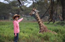 5Day Masai Mara, Lake Nakuru and Naivasha Daily Budget Safari