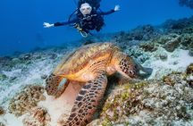 Discover Scuba Diving With Sea Turtles – Xiaoliuqiu, Taiwan