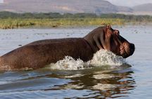 5Day Masai Mara, Lake Nakuru and Naivasha Daily Budget Safari