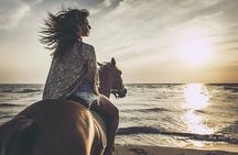 Whispers of the Dunes: A Doha Horse Riding Experience