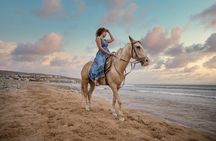 Whispers of the Dunes: A Doha Horse Riding Experience