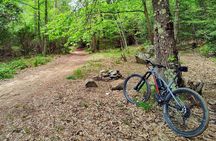 Panoramic Views Tour from Sanremo to Bajardo by e-Bike