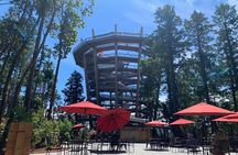 Victoria Day trip with Butchart Garden and Malahat Skywalk