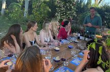 Wine Tasting Experience with a Professional Sommelier in Valencia City Center