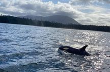 Whale Watching and Wildlife Viewing