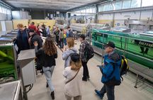 Olive Tree Tour, Visit Vallarella Oil Mill, Oil Tasting