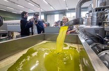 Olive Tree Tour, Visit Vallarella Oil Mill, Oil Tasting