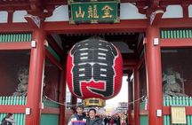 5 HOUR Asakusa DeepDive +Tea Ceremony +Maid Cafe +LUNCH w/ guide