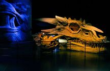 Game of Thrones Studio Tour Admission Ticket