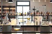 Nice : Excursion at Eze Village and Fragonard Perfume factory