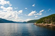 Québec City: Whale Watching Tour with Bus Transportation
