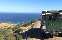 From Stintino: off-road tour to Asinara