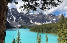 Shared Tour: Emerald Lake Lake Louise & Moraine Lake from Calgary