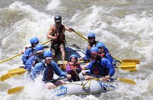 Bighorn Sheep Canyon Half Day Beginner Whitewater Rafting Tour 