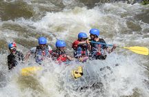 Bighorn Sheep Canyon Half Day Beginner Whitewater Rafting Tour 