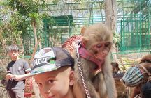 Lion Safari and Green Canyon Splash Feast with Lunch