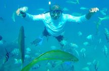 Puerto Plata : Party Boat Catamaran to Sosúa Bay