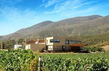 From the Border Valle de Guadalupe Private Wine Tour