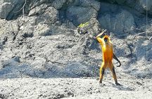 Tortuga Island, Tour from Puntarenas