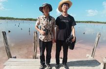 Celestún Mangrove Exploration & Beach Escape from Mérida