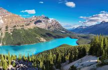 Banff Private Tour: Moraine, Louise, Peyto & Icefields Parkway