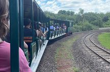 Full Day Iguassu Falls Tour Both Sides Skip-the-Line Hotel Pickup