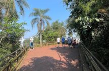 Iguazu Falls: Brazilian-Argentinian Sides in 1 Day Hotel Pickup