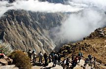 Arequipa : 2-day hike to the geysers and the colca canyon.