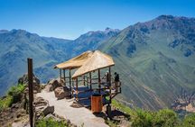 Arequipa : 2-day hike to the geysers and the colca canyon.