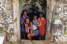 Full Day Island Tour with Hawaiian Leis theme