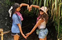 Full Day Island Tour with Hawaiian Leis theme