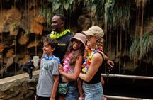 Full Day Island Tour with Hawaiian Leis theme