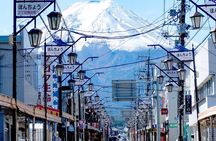 Mt. Fuji Highlight Photo Spots One Day Tour from Tokyo