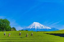 Mt. Fuji Highlight Photo Spots One Day Tour from Tokyo