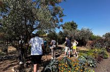 Farm to Table Cooking Experience in San Miguel