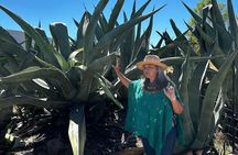 Farm to Table Cooking Experience in San Miguel