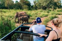 Trincomalee to Sigiriya : Rural Village Tour & Elephant Safari 