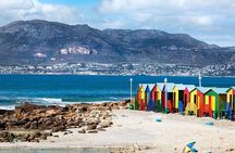 False Bay Walk & Penguin Kayak Experience - Best thing to do
