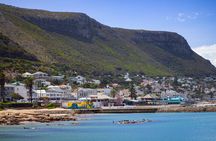 False Bay Walk & Penguin Kayak Experience - Best thing to do