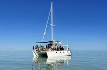 Broome's only Crabbing Adventure & Wildlife Cruise
