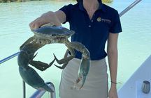 Broome's only Crabbing Adventure & Wildlife Cruise