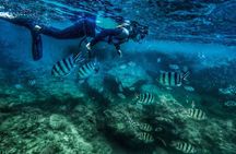 Bali Blue Lagoon Snorkeling with Private Transfer and Lunch