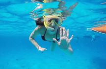 Bali Blue Lagoon Snorkeling with Private Transfer and Lunch