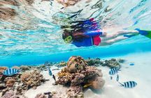 Bali Snorkeling and Waterfall Adventure Private Day Tour
