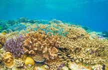 Bali Snorkeling and Waterfall Adventure Private Day Tour