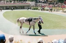 Horse Racing Tour with Local Fans in Tokyo（with Ticket）