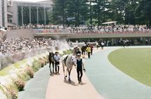 Horse Racing Tour with Local Fans in Tokyo（with Ticket）